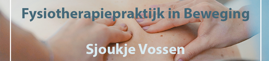 Fysiotherapiepraktijkinbeweging.nl